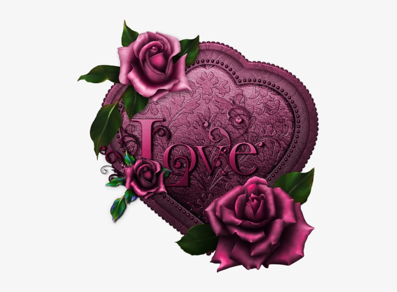 Download Coeur Tube Png Garden Roses Png Image With No Background Pngkey Com
