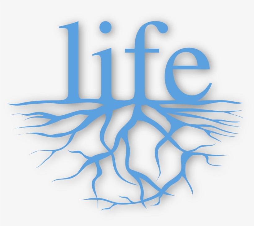 32 Phd Positions - Love My Life I Am Beautiful, transparent png #813118