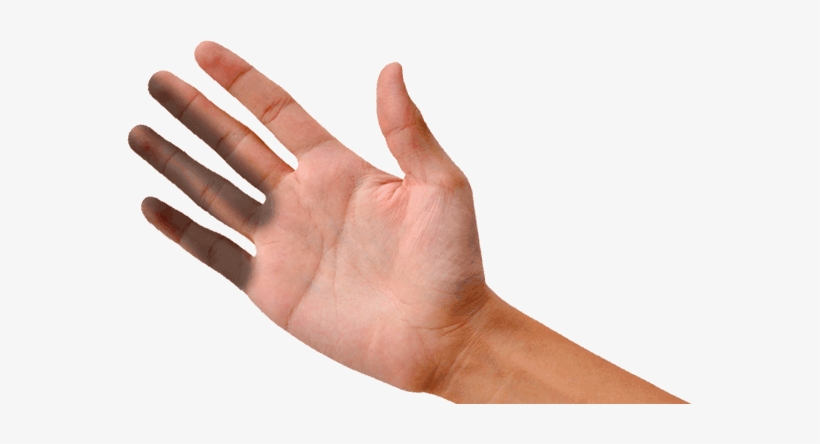 Mission Tampa Helping Hand Up - Palma De La Mano Abierta, transparent png #813287