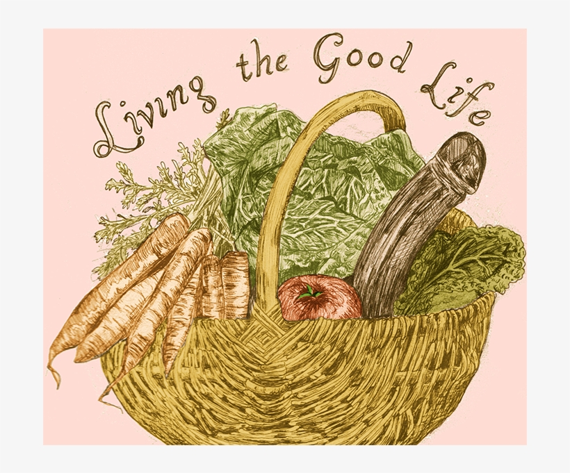 Color-life - Color, transparent png #813741