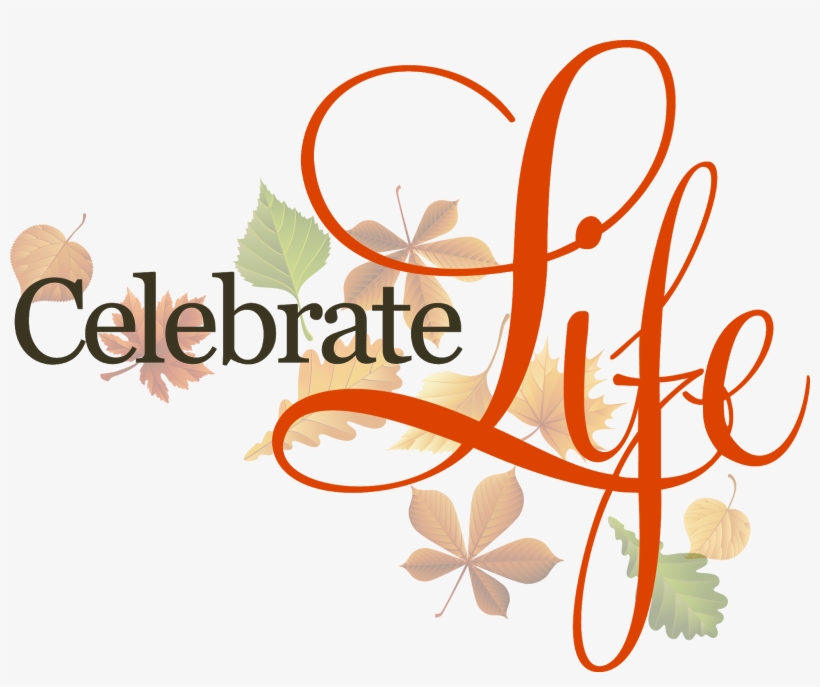 Celebrate Life - Transparent Celebration Of Life Png, transparent png #813857