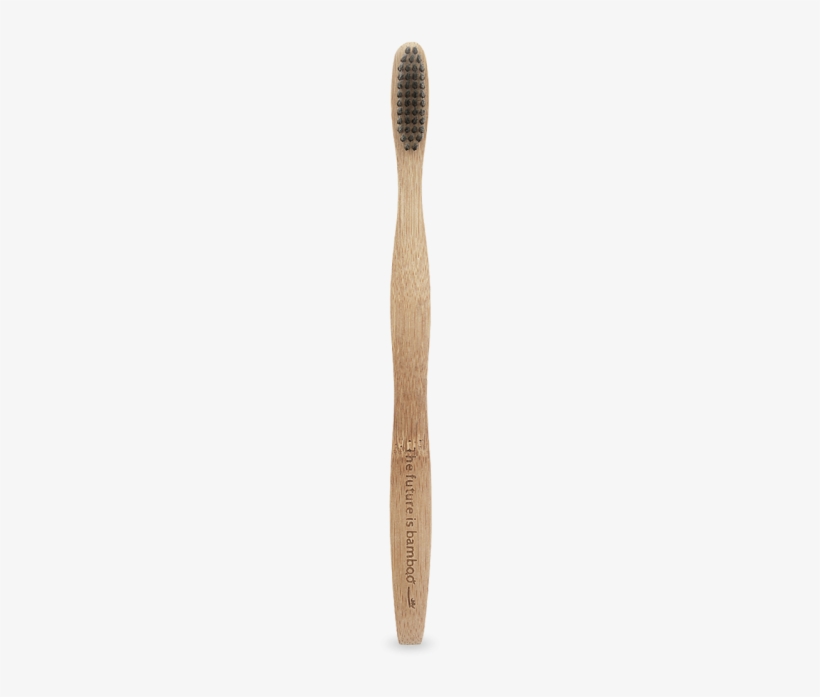The Future Is Bamboo - Brush, transparent png #814550
