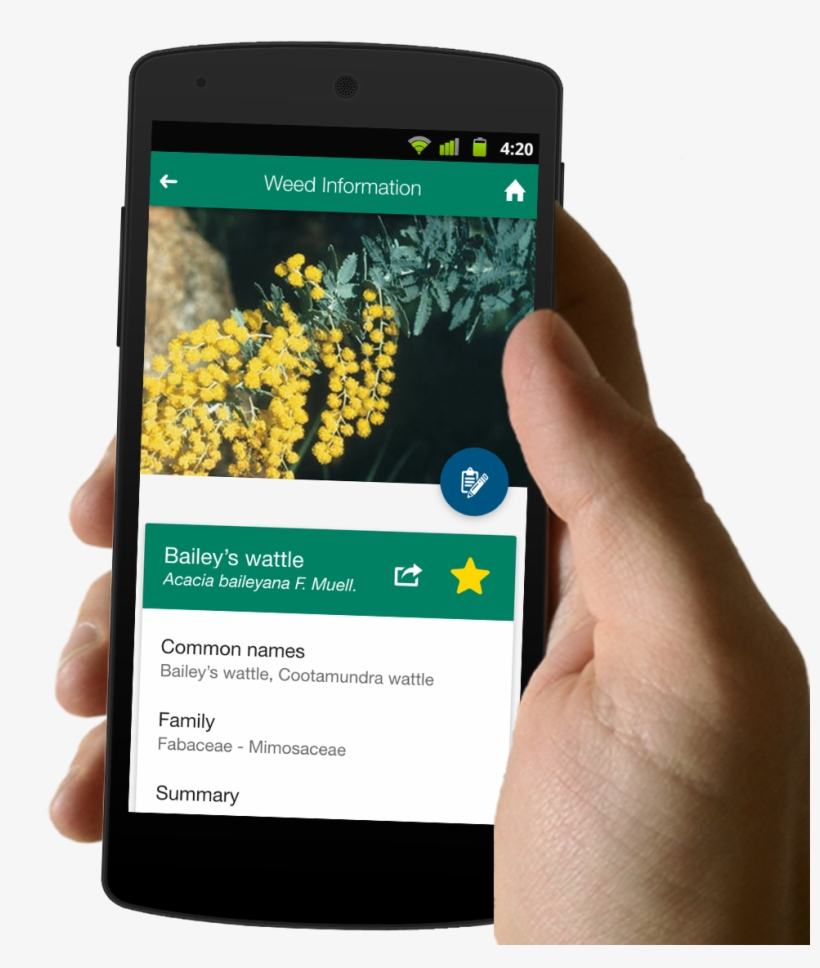 Hero 02 Phone And Hand - Mobile Phone, transparent png #814644