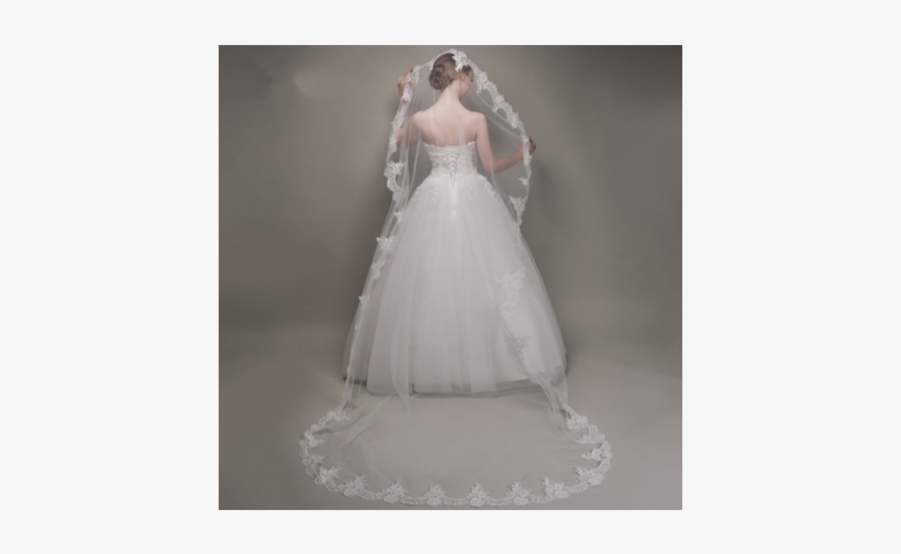 Classic Embroidery Lace Soft Tulle Cathedral Length - Veil, transparent png #814871