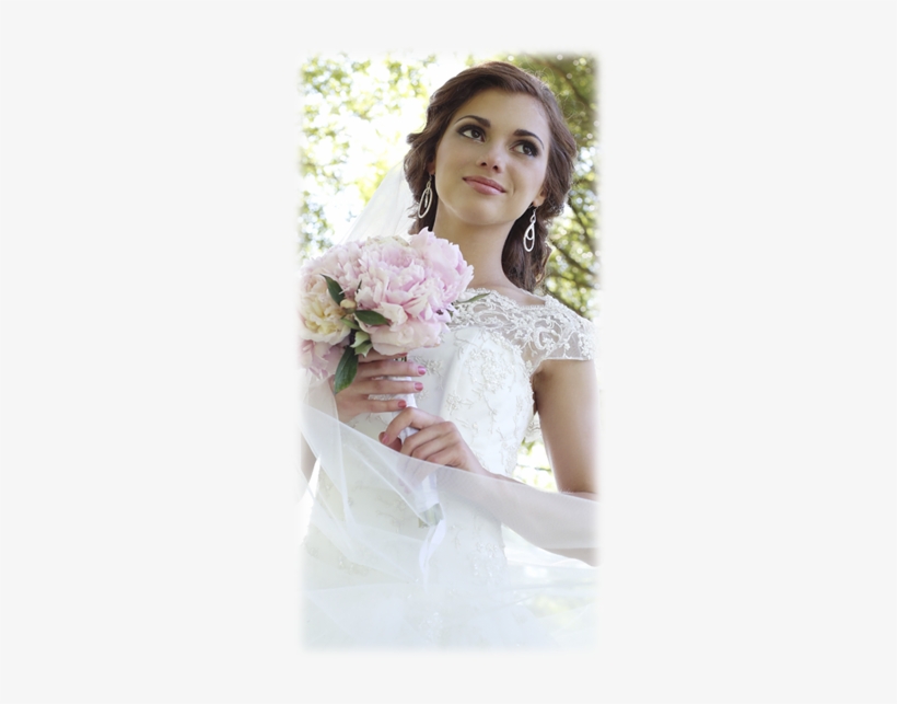Puritan Cleaners Cleans And Preserves Wedding And Bridal - Wedding Dress, transparent png #815318