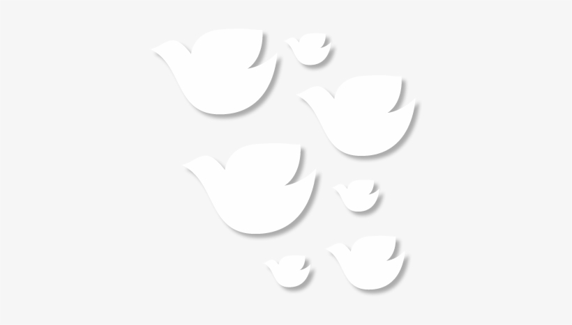 Houston Dream Doves, transparent png #817047