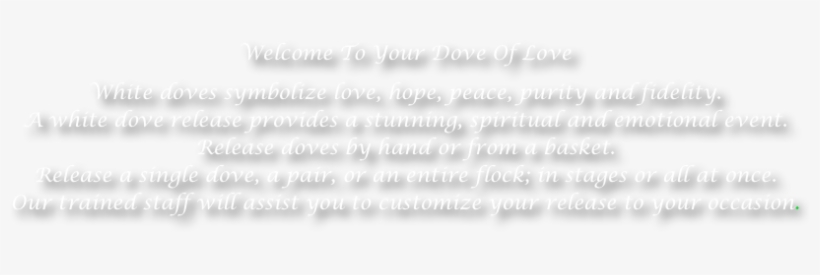 Welcome To Your Dove Of Love White Doves Symbolize - Pigeons And Doves, transparent png #817118
