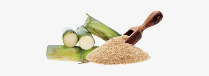 Banner Transparent Stock Donald Trump And The U - Acido Glicolico De Donde Se Extrae, transparent png #817754