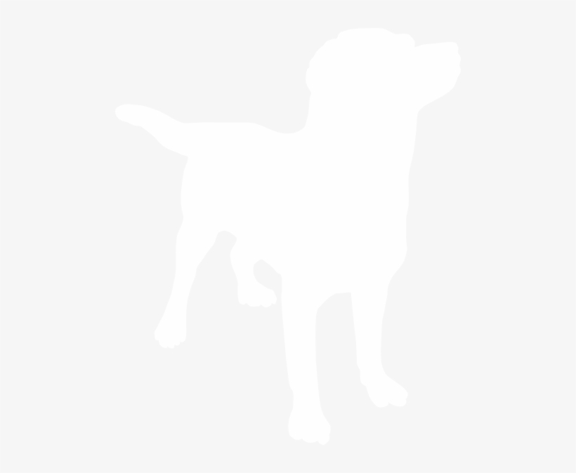 How To Set Use White Labrador Clipart, transparent png #818452