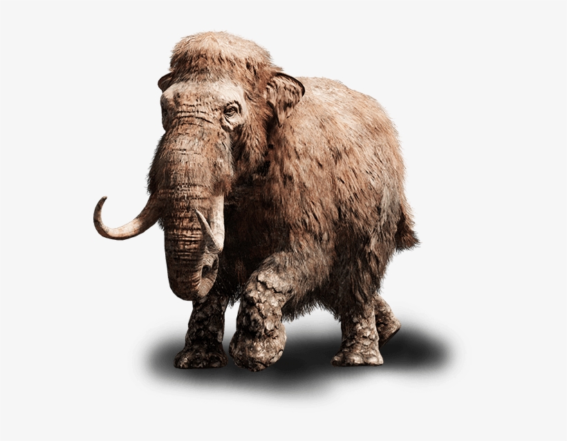 Far Cry Primal Baby Mammoth, transparent png #818978