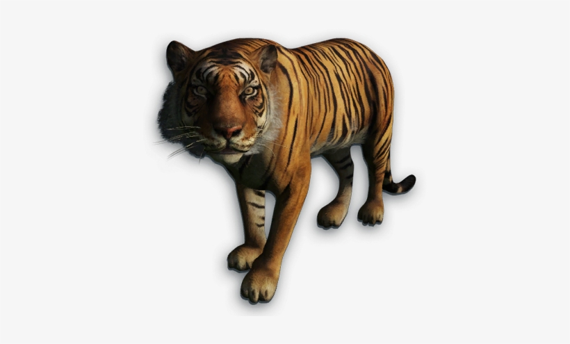Far Cry 4 Tiger Png, transparent png #819007