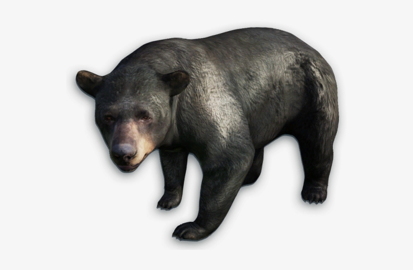 Far Cry 4 Animals Png, transparent png #819110