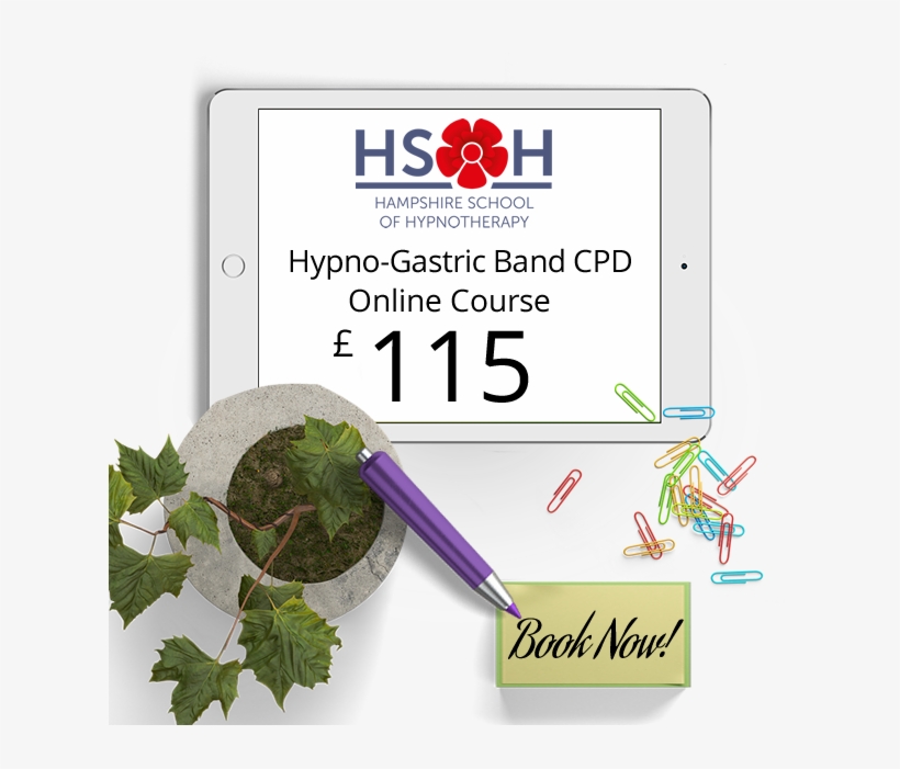 Hypno Gastric-band Online Cpd Course - Parsley, transparent png #8101454