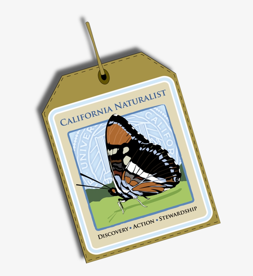 California Naturalist Registration, transparent png #8102968