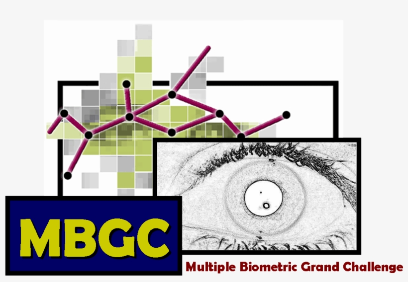 Face Recognition Grand Challenge, transparent png #8102970