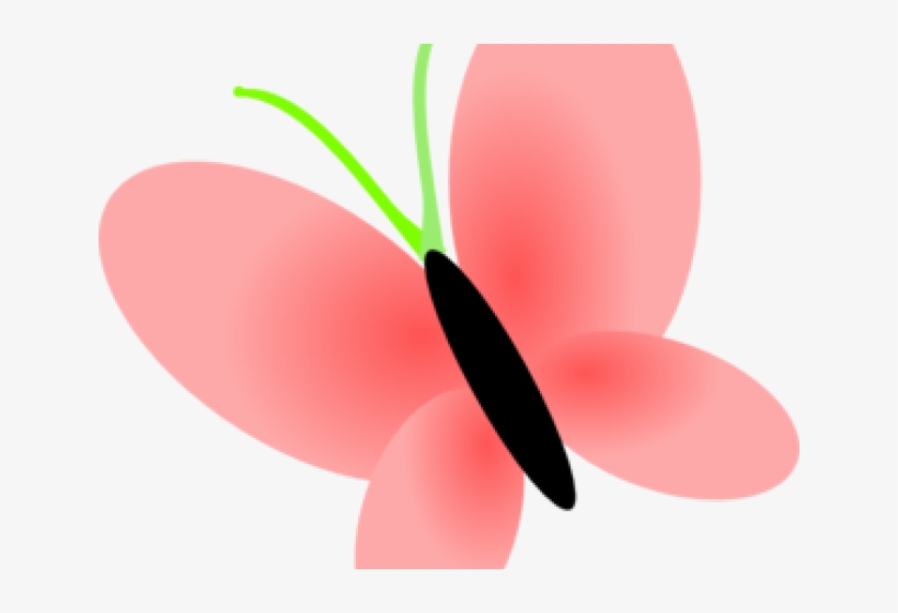 Balloons Clipart Transparent Background - Insect, transparent png #8103521