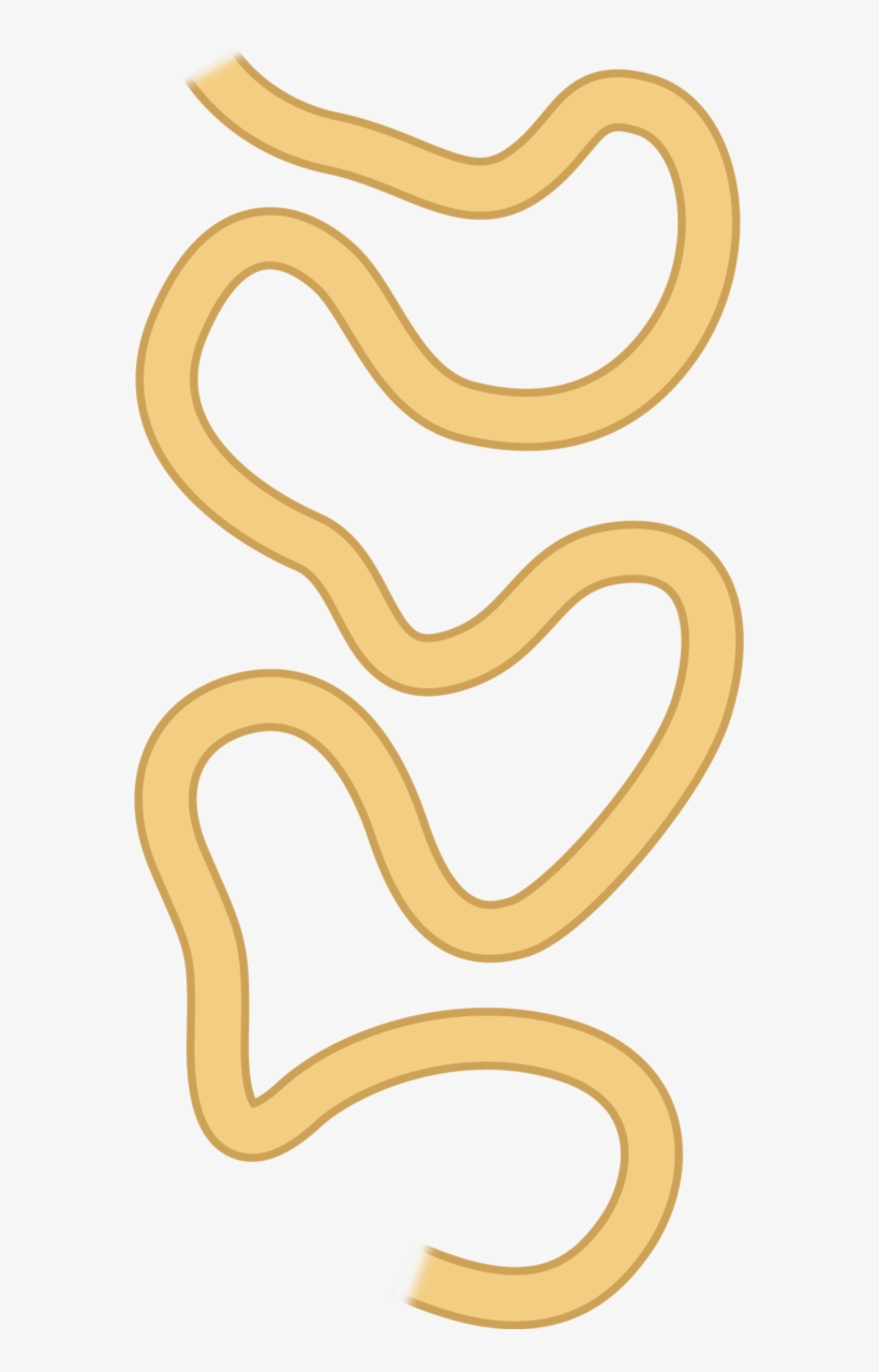 Clip Art, transparent png #8104852