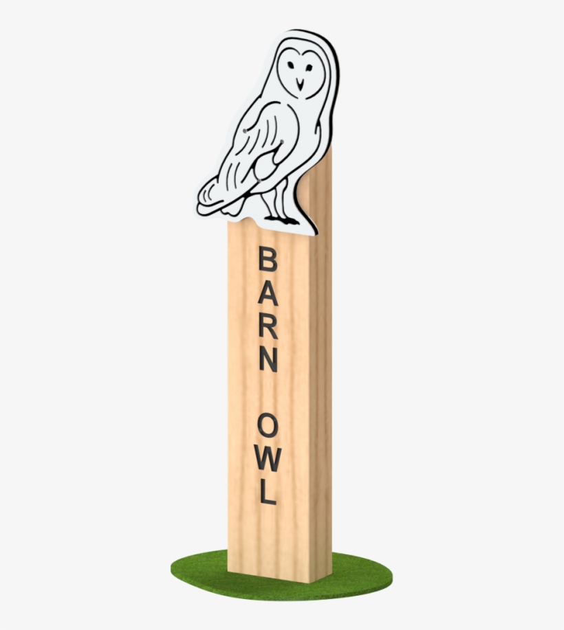 Barn Owl - Snowy Owl, transparent png #8106631