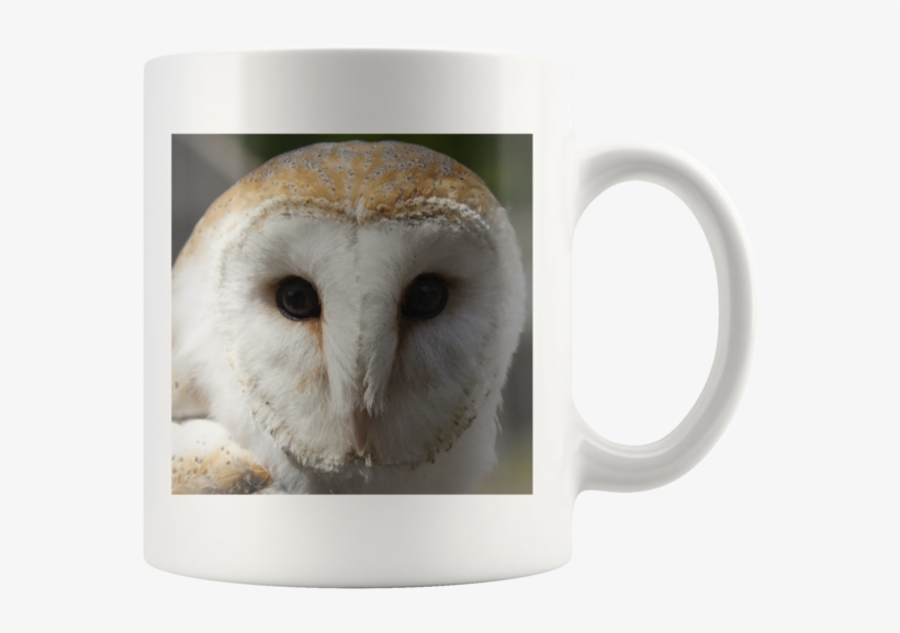 Barn Owl White Mug - Mug, transparent png #8106979