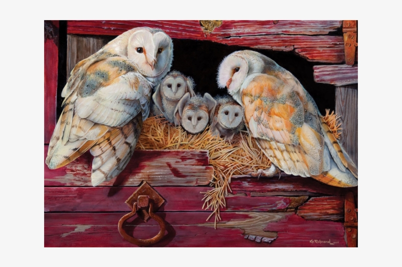 Barn Owls, transparent png #8107181