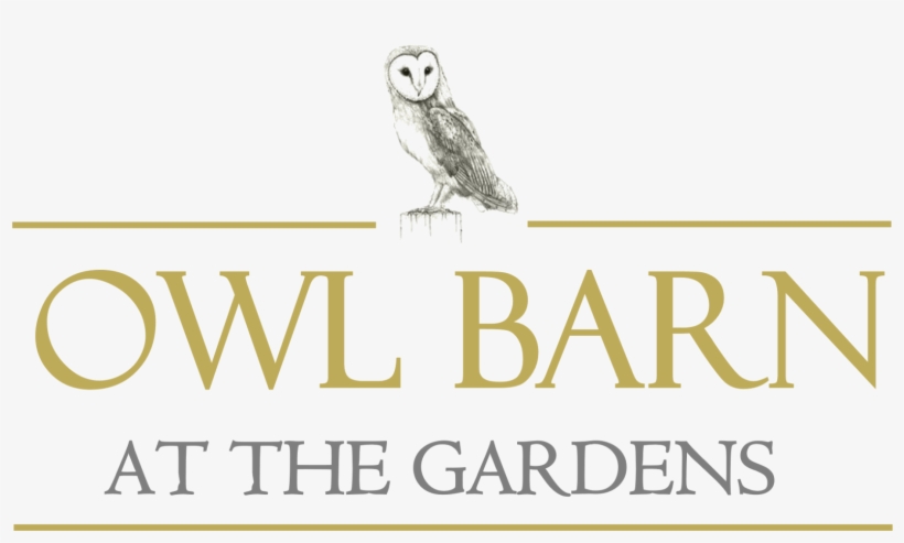 Logo - Snowy Owl, transparent png #8107352
