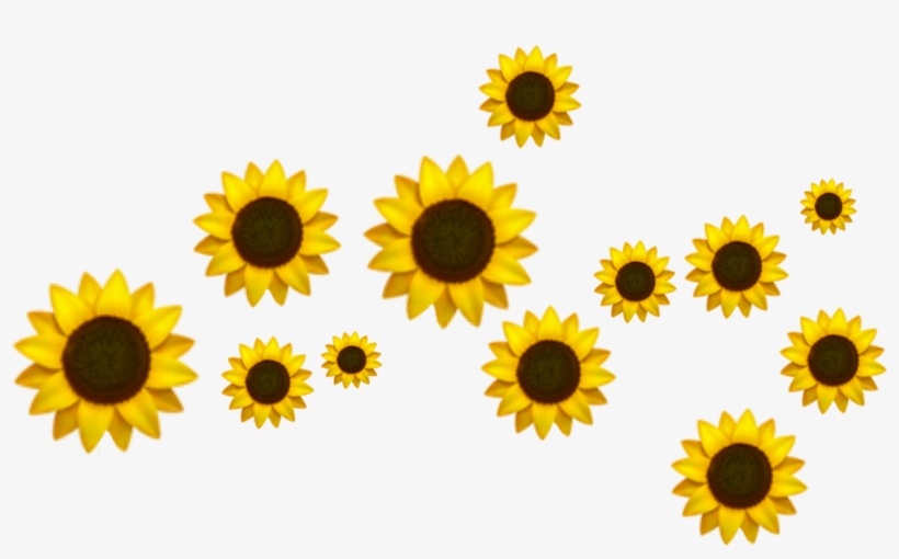 Dudahmt Tumblr Crown Girassol Sticker Dudahmt Png Transparent - Sunflower, transparent png #8107355