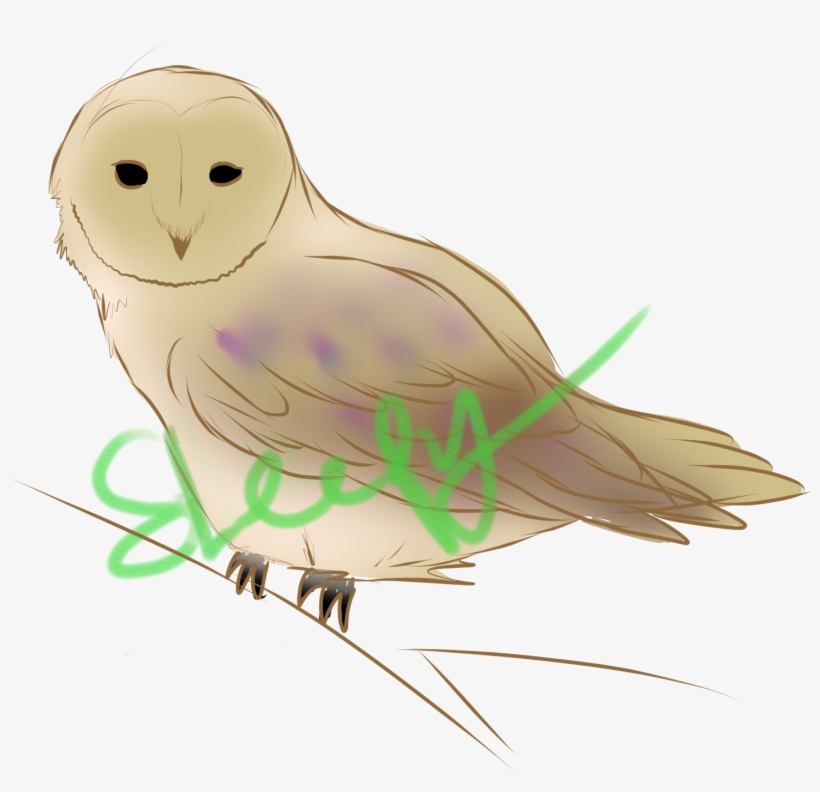 Yn33lrn - Snowy Owl, transparent png #8107565