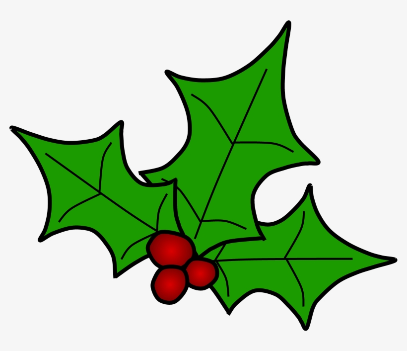 Holly, Berries, Leaves Spread, Green, Png, transparent png #8107958