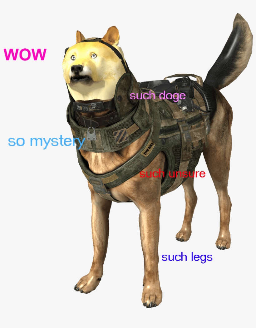 Some - Companion Dog, transparent png #8108690