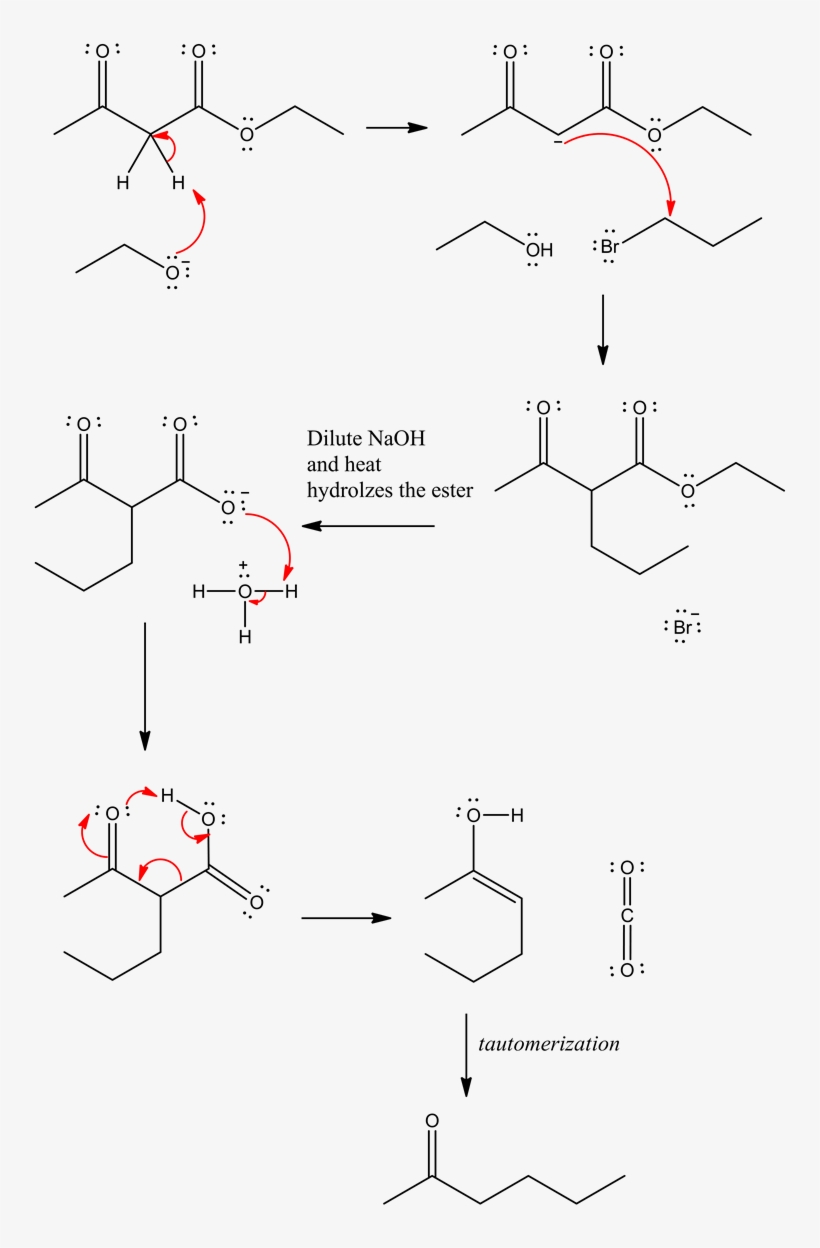 Image - Diagram, transparent png #8108864
