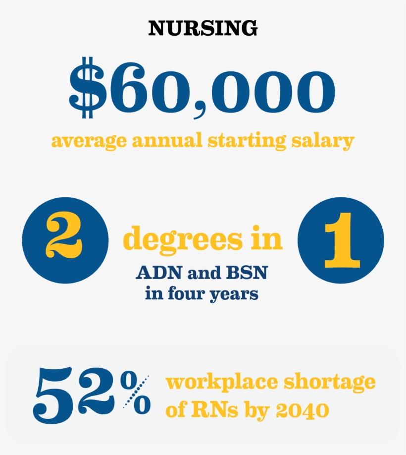 Nursing Statistics - Graphic Design, transparent png #8109670
