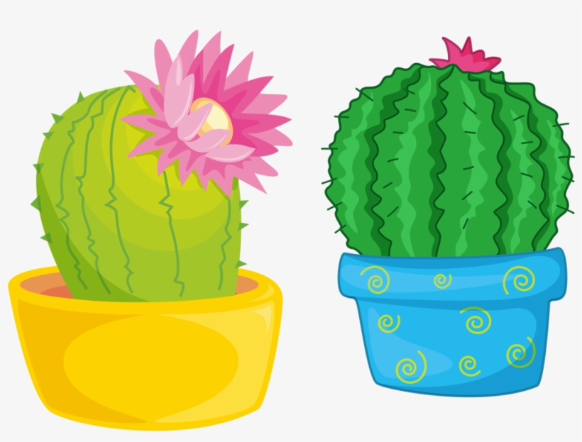 7 Cactus Illustration, Plant Drawing, Catus, Succulents, - Cactos Com Flores Desenho Png, transparent png #8110753