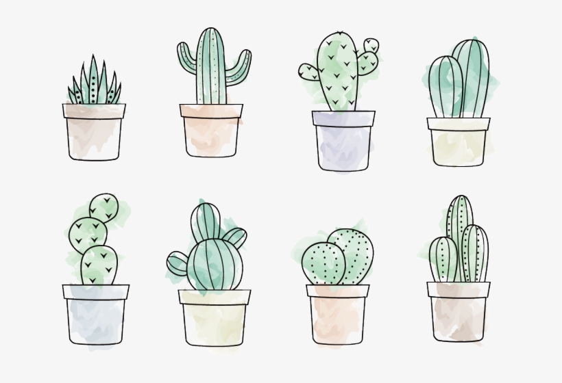 Drawn Cactus Vector - Cactus Doodle, transparent png #8110874