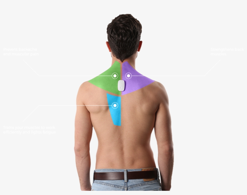 Posture Training On The Go Inspector Gadget, Career, - Upright Go Posture Trainer, transparent png #8111474