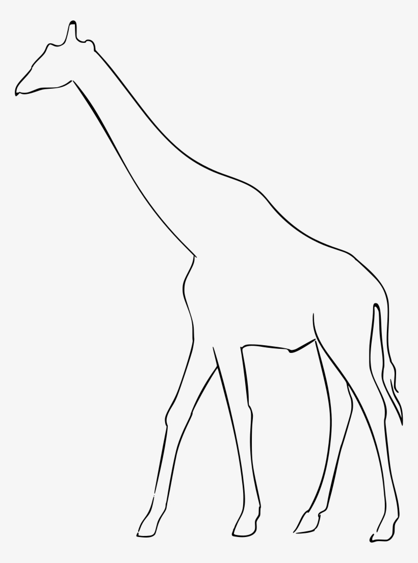 Download Png - Giraffe, transparent png #8111735