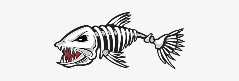 Fish Skeleton, transparent png #8112241