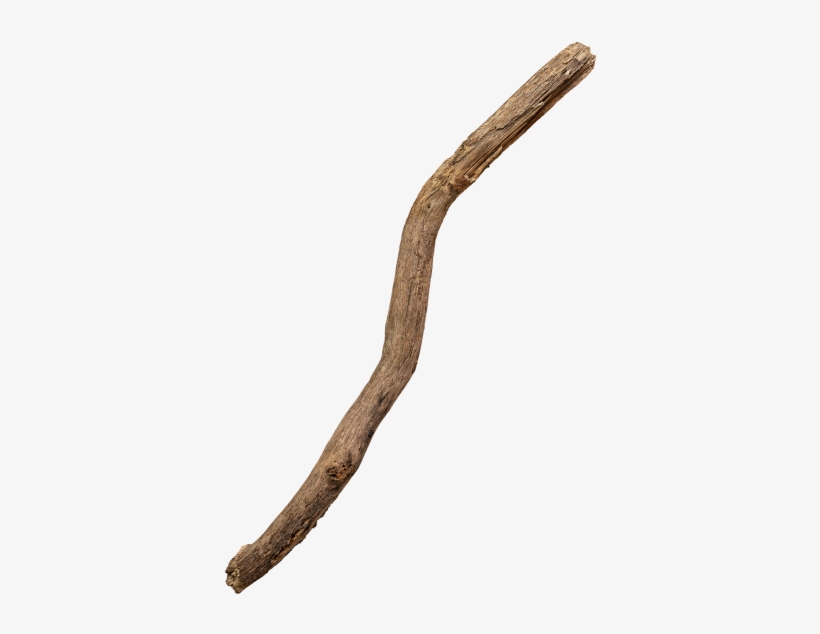 Tree Branch - Snake, transparent png #8112470