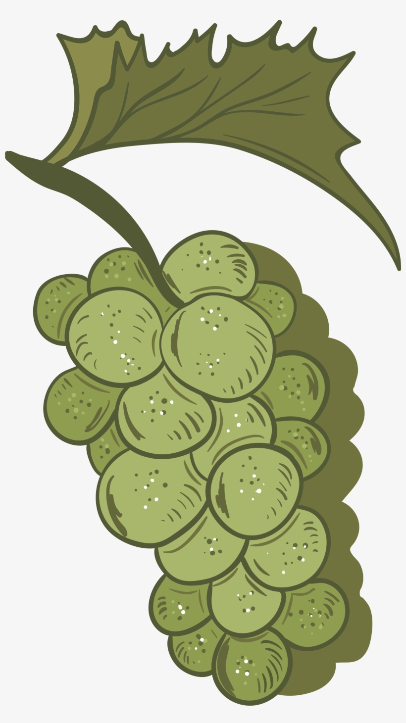 De Frutas Pintados M O Uvas Png - عنب مرسومة, transparent png #8112972