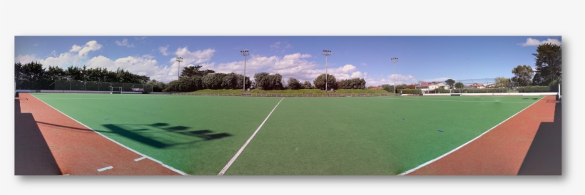 "dead" Turf Needs Replacing - Lawn, transparent png #8113206