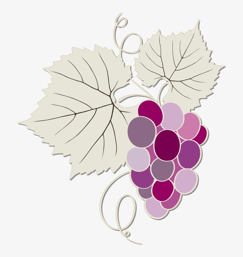 Our Wines - Grape, transparent png #8113215