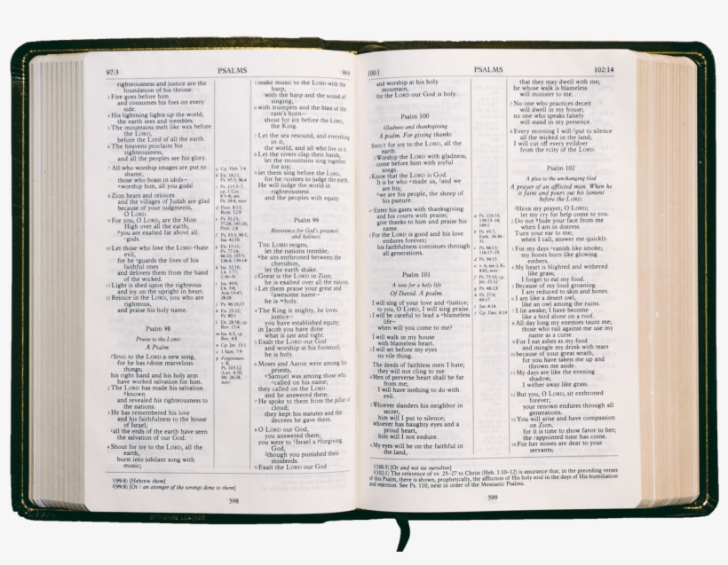 Lakeridge Baptist Church - Paper, transparent png #8113391