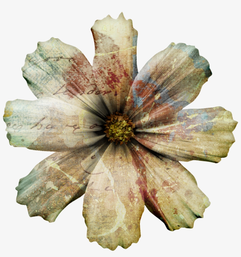 I Decided To Go Crazy With Splatter Brushes, Overlays, - Clematis, transparent png #8113430