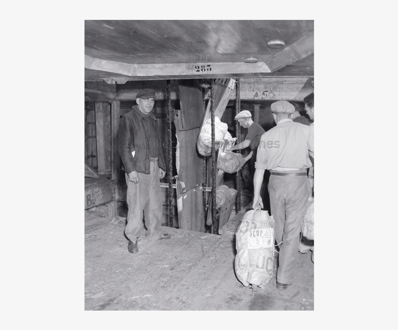 Unloading Banana Bunches From Cargo Ship Barfleur At, transparent png #8114809