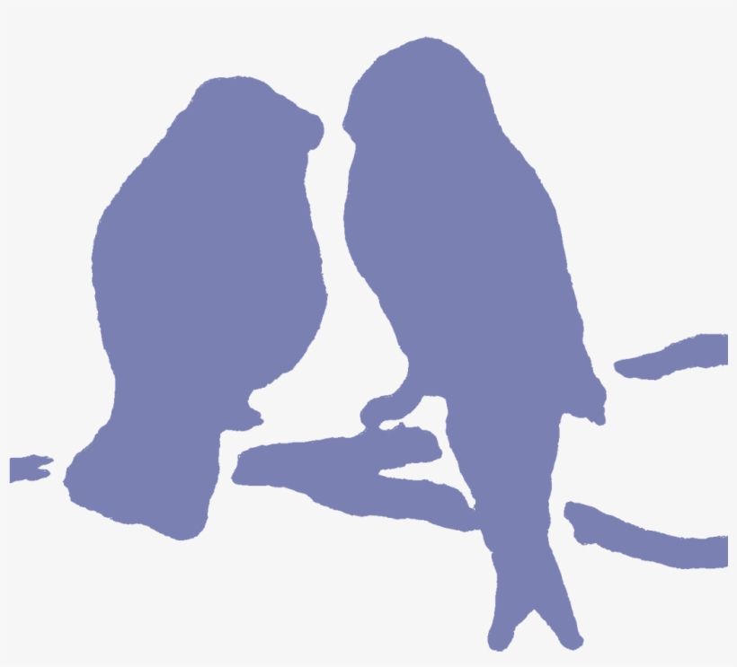 Com/wp Text Logo - Bird Of Prey, transparent png #8115349