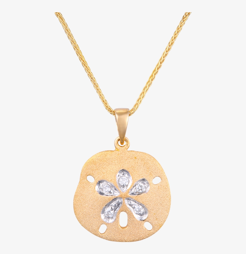 Sand Dollar Pendant - Locket, transparent png #8116660