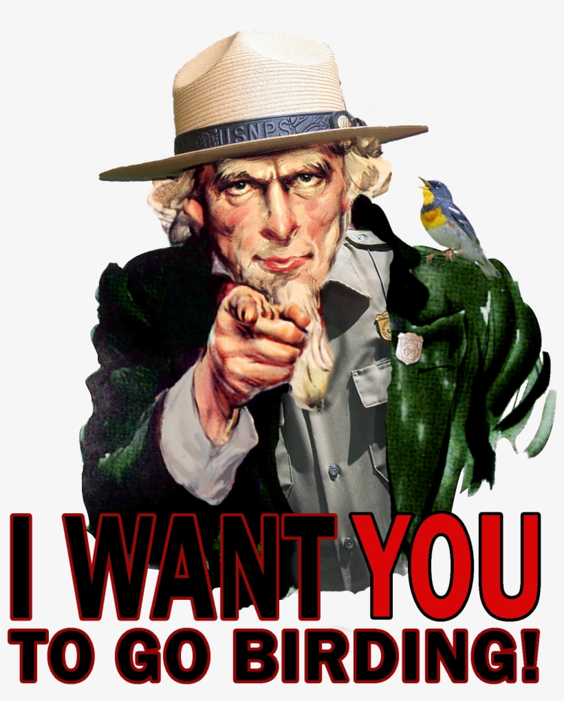 Uncle Sam Wants You To Go Birding - Uncle Sam, transparent png #8118551