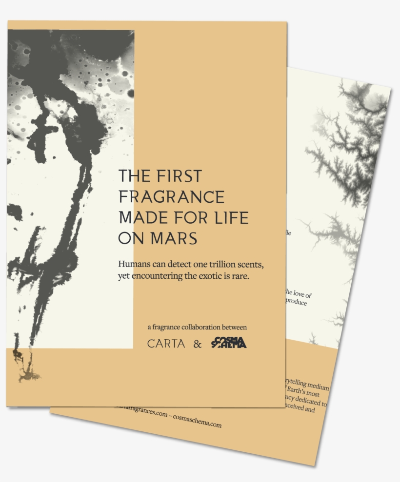 Leave - Tree, transparent png #8118563