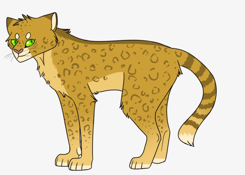 Slash - Cat Yawns, transparent png #8119012