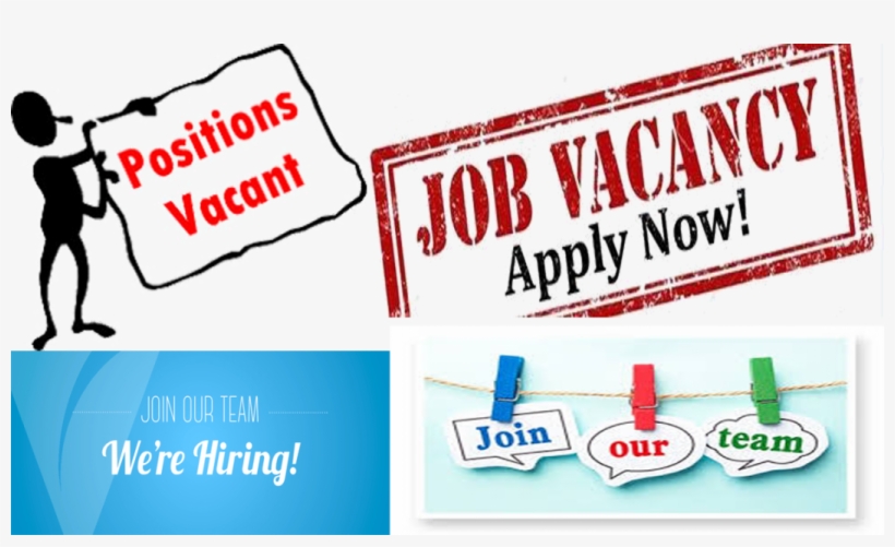 Executive Job Openings February - Calligraphy, transparent png #8119347