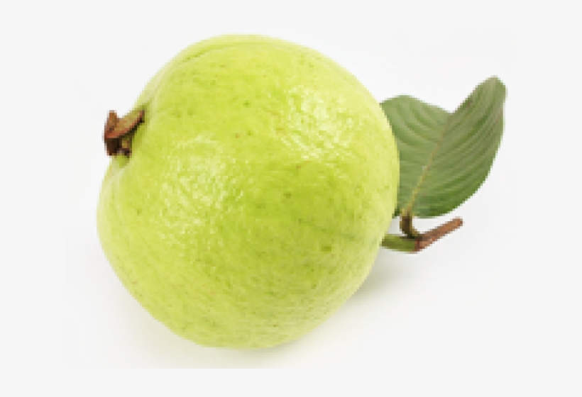 Guava Clipart Transparent - Guava Clipart Png, transparent png #8119538